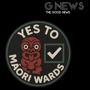 Yes to Maori Wards - Concept Unisex Tee Design