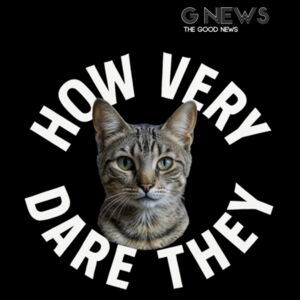 Monty How Very Dare They - Black Unisex Tee Design