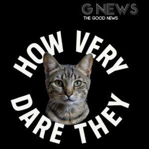 Monty How Very Dare They - Black Womens V Neck Tee Design